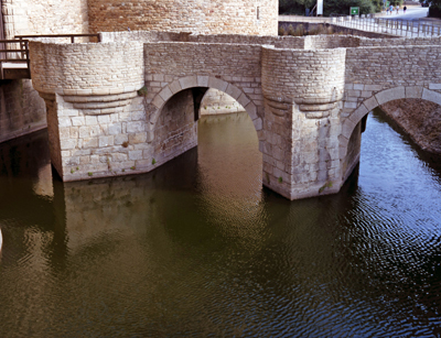 The Moat